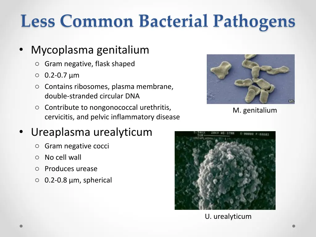 less common bacterial pathogens