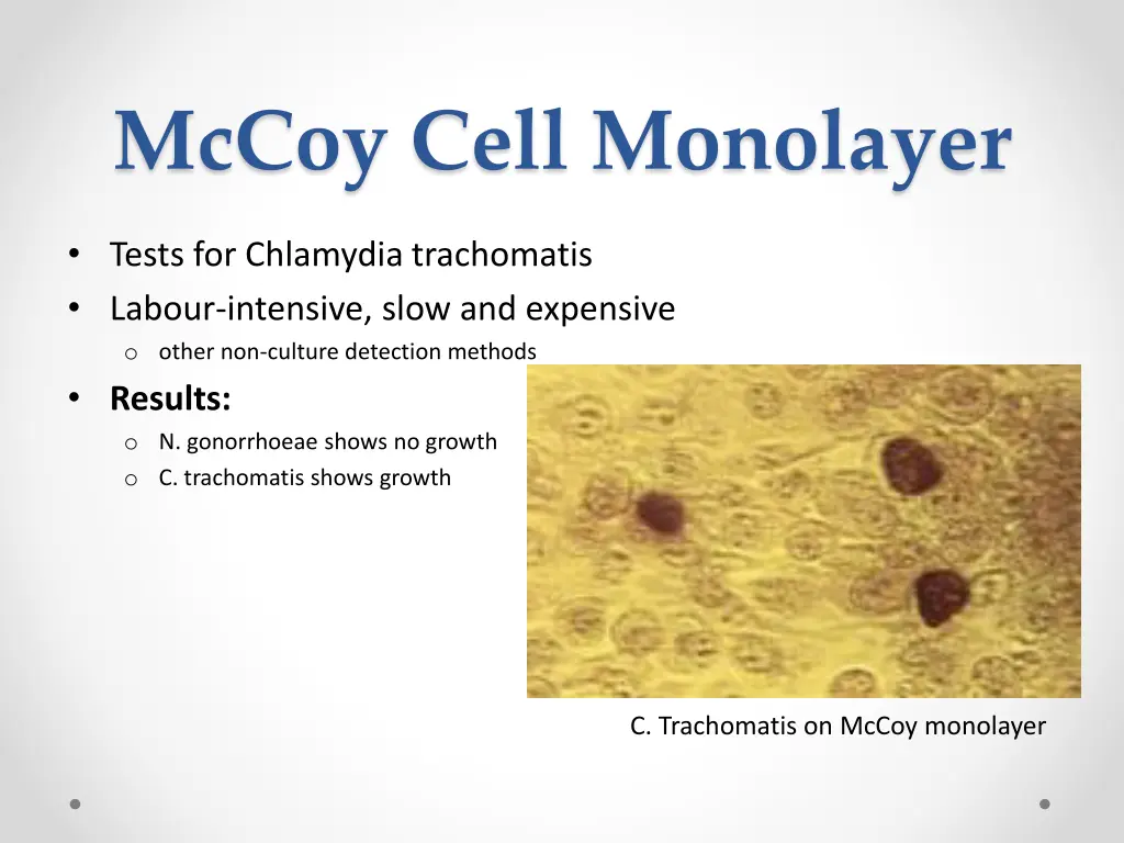 mccoy cell monolayer