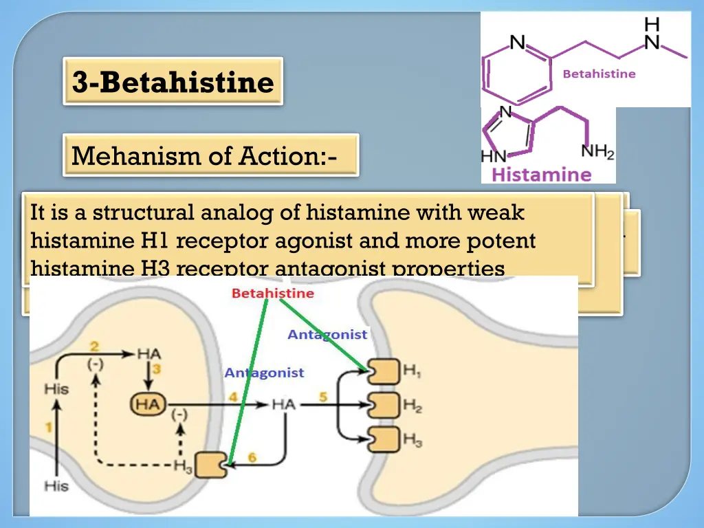 3 betahistine