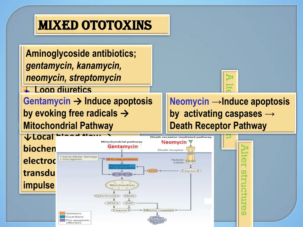 mixed mixed ototoxins ototoxins