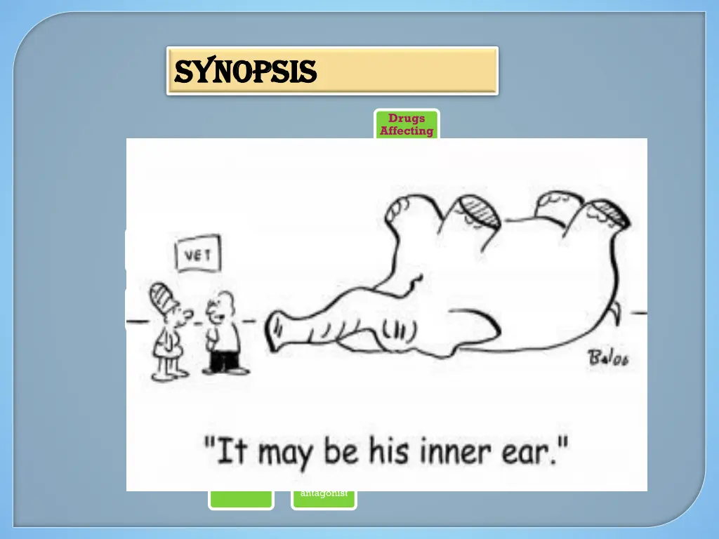 synopsis synopsis