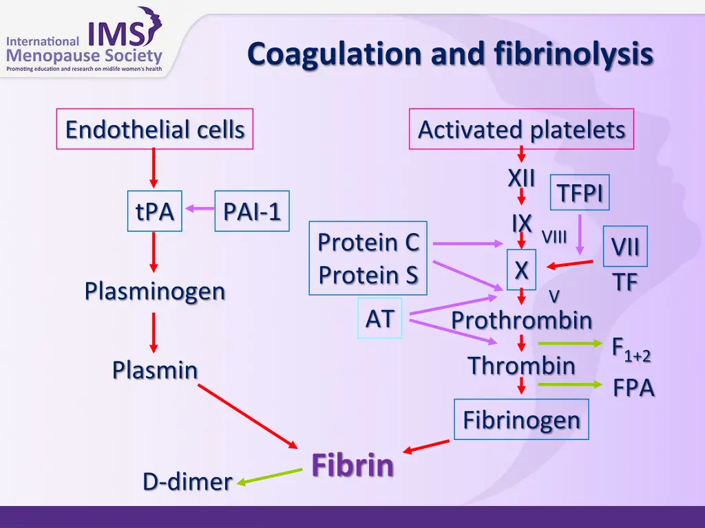 coagulation and fibrinolysis