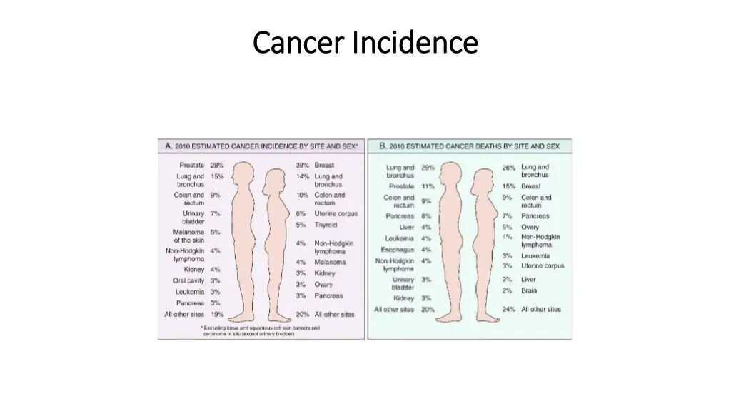 cancer incidence cancer incidence