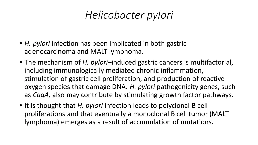 helicobacter pylori