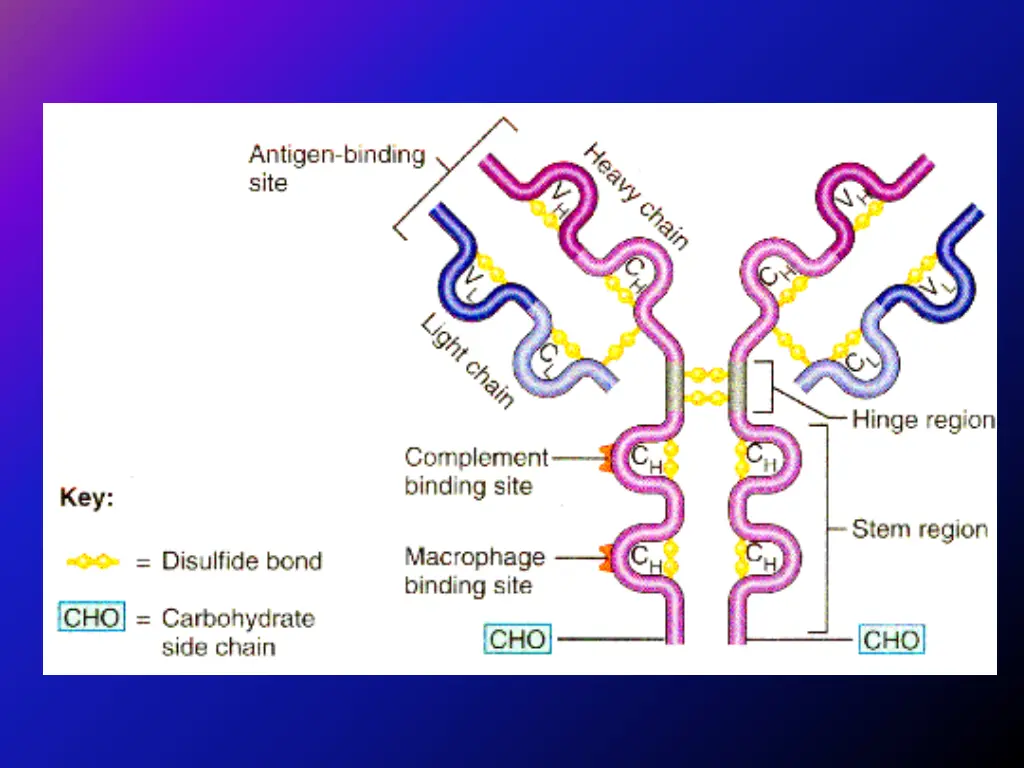 slide10