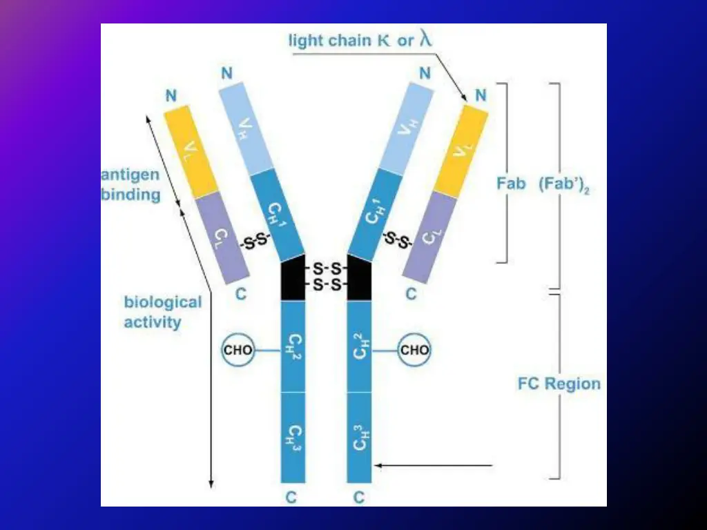slide5