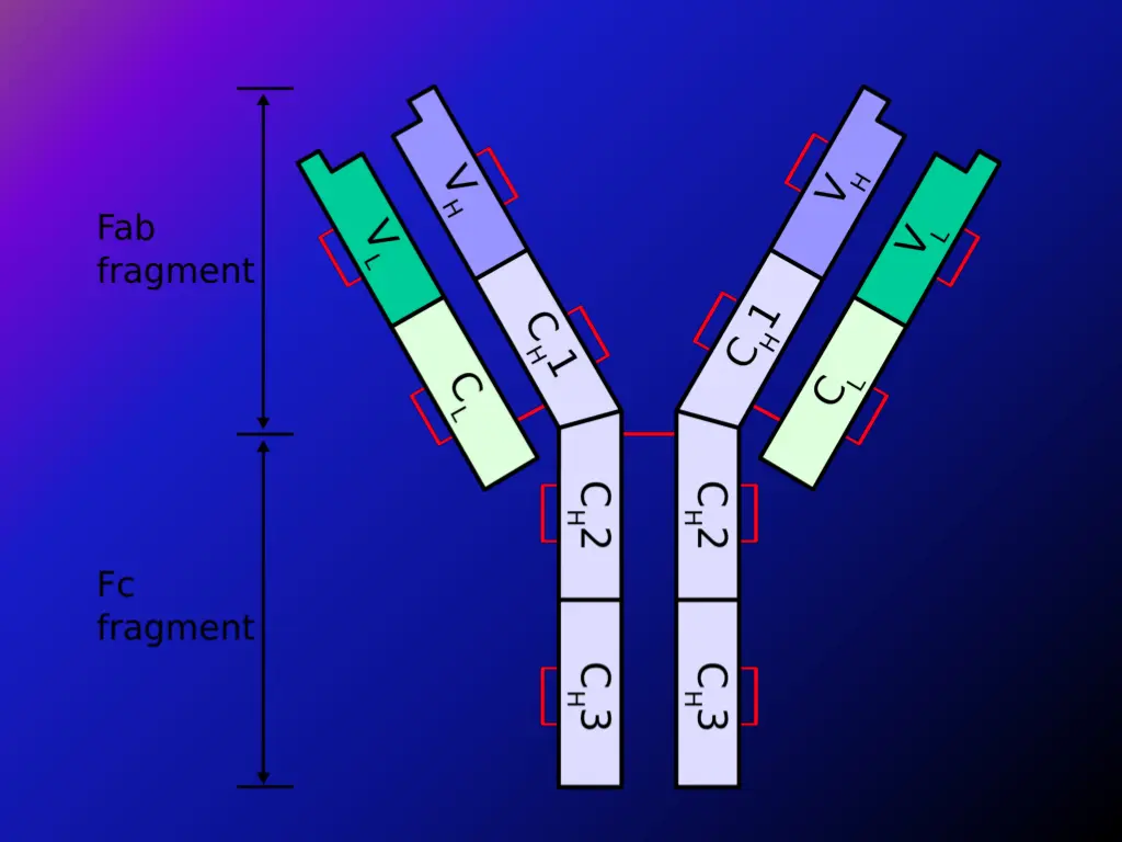 slide8