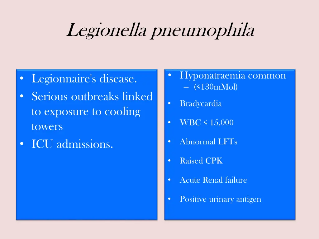 legionella pneumophila