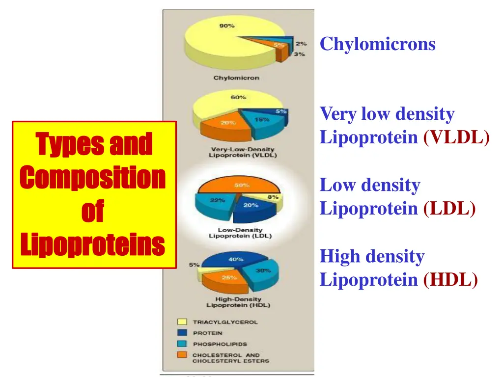 chylomicrons