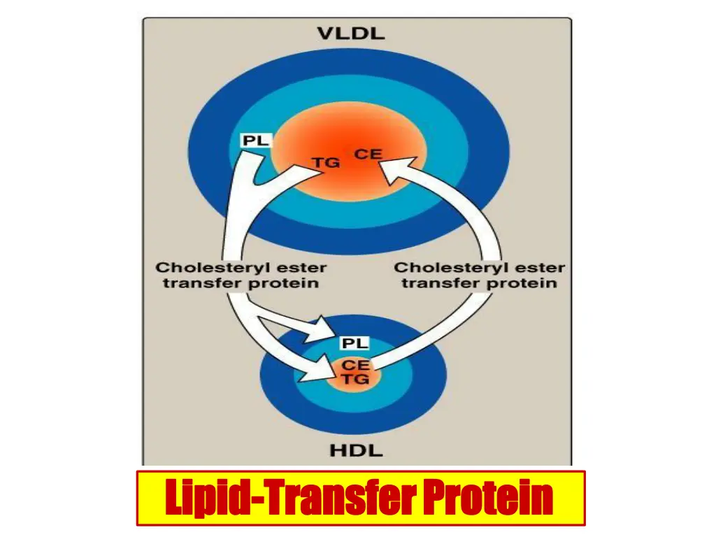 lipid lipid transfer transferprotein