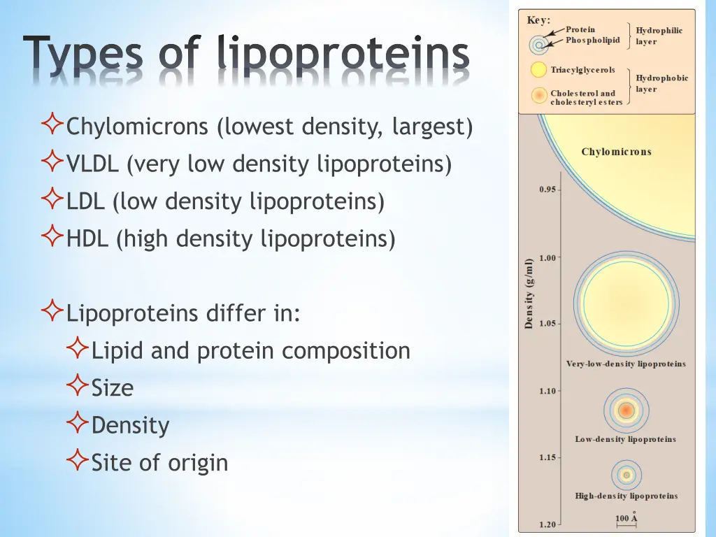 types of lipoproteins