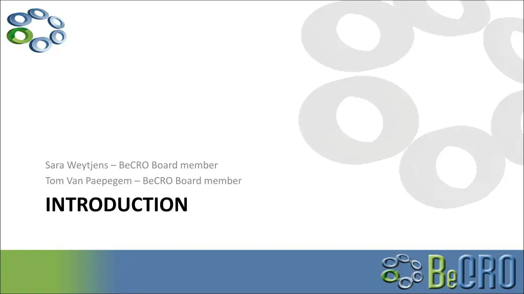 sara weytjens becro board member tom van paepegem