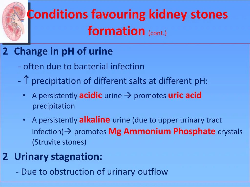 conditions favouring kidney stones formation cont