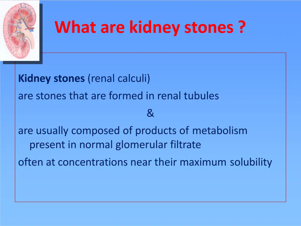 what are kidney stones