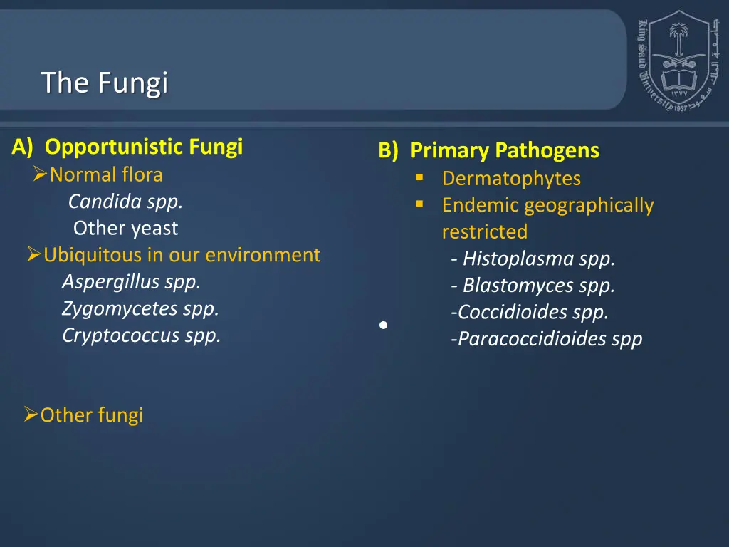 the fungi