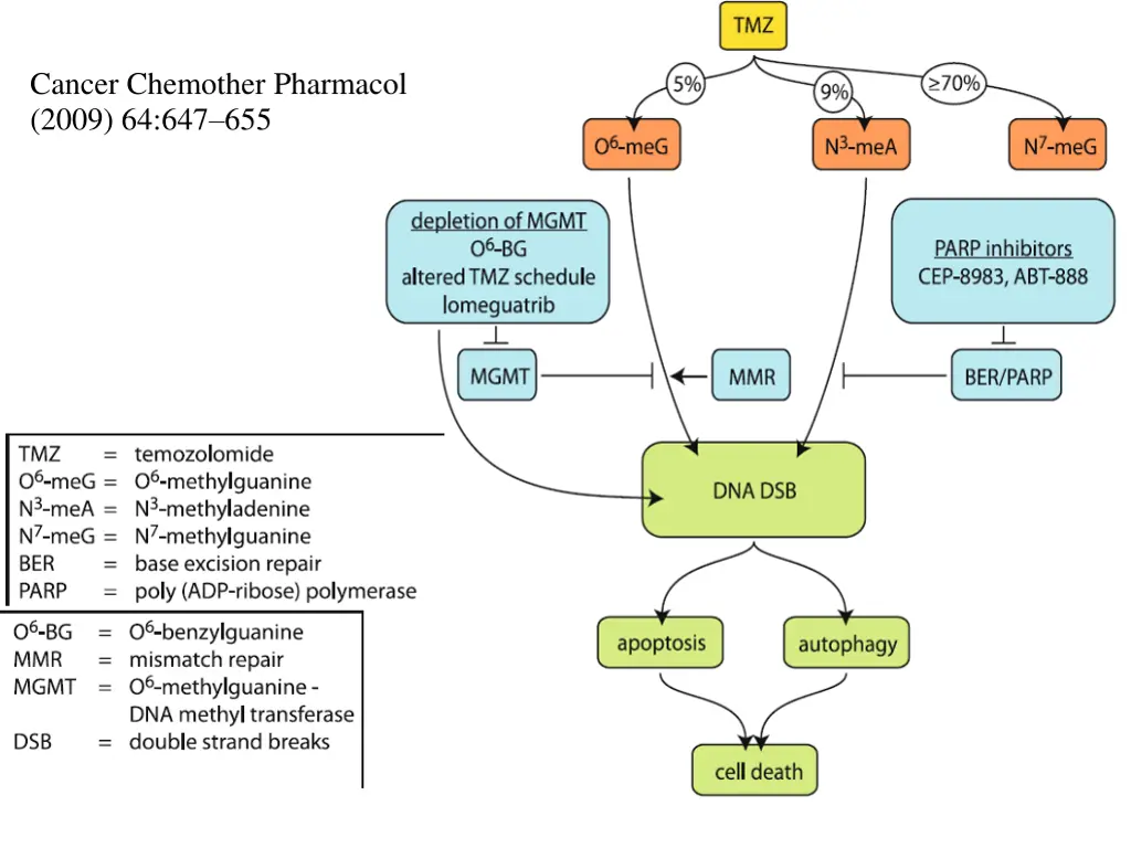 cancer chemother pharmacol 2009 64 647 655 1