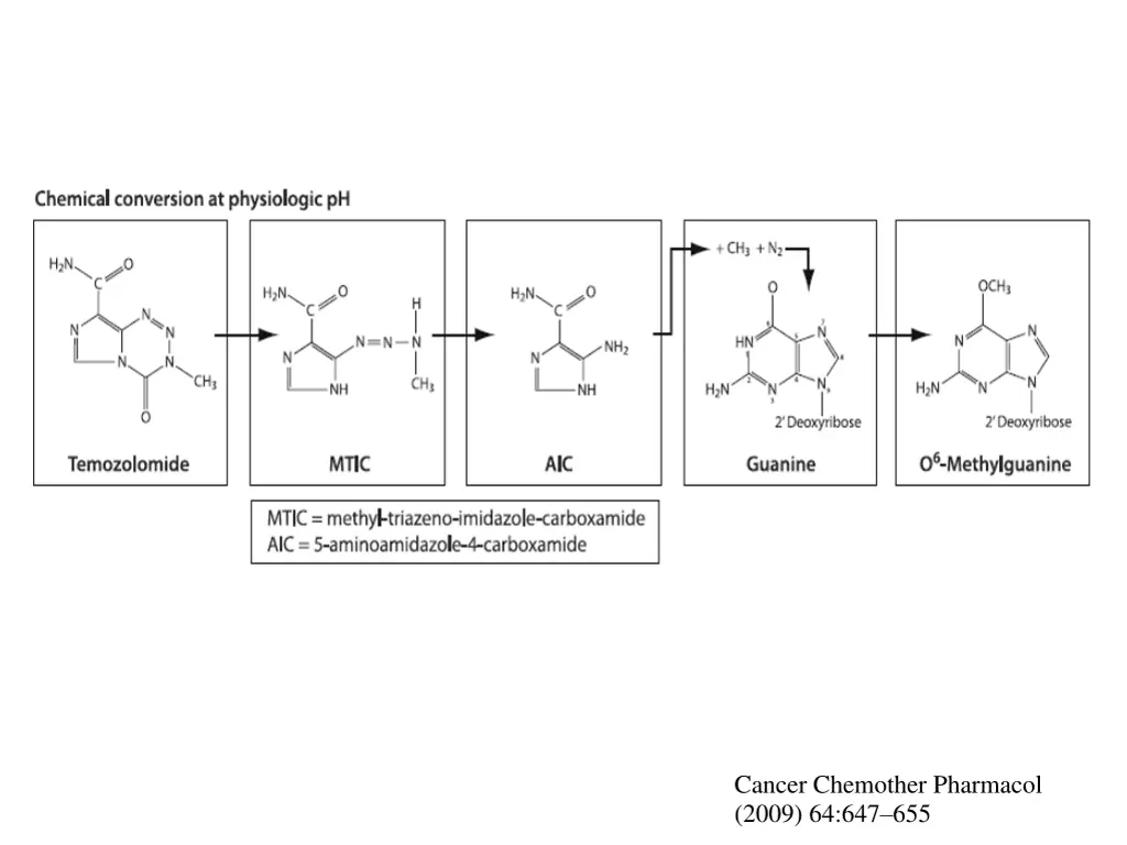 cancer chemother pharmacol 2009 64 647 655