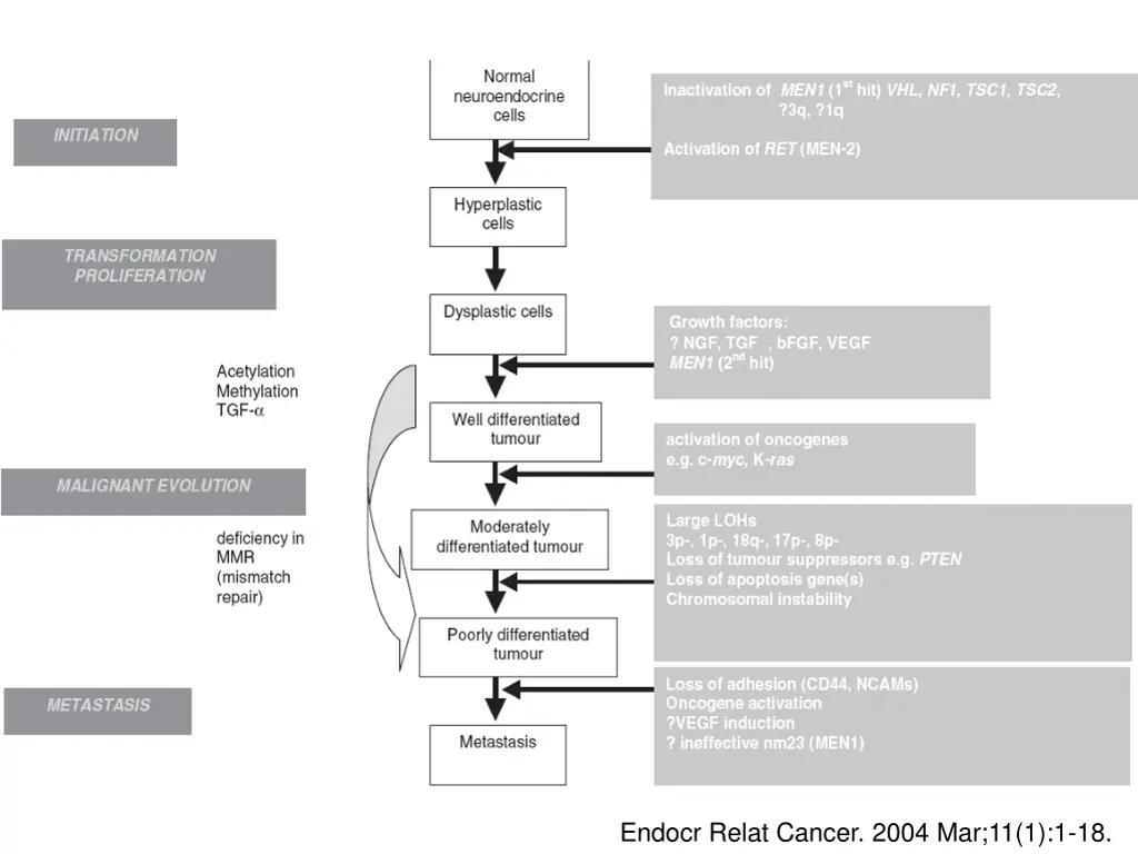endocr relat cancer 2004 mar 11 1 1 18