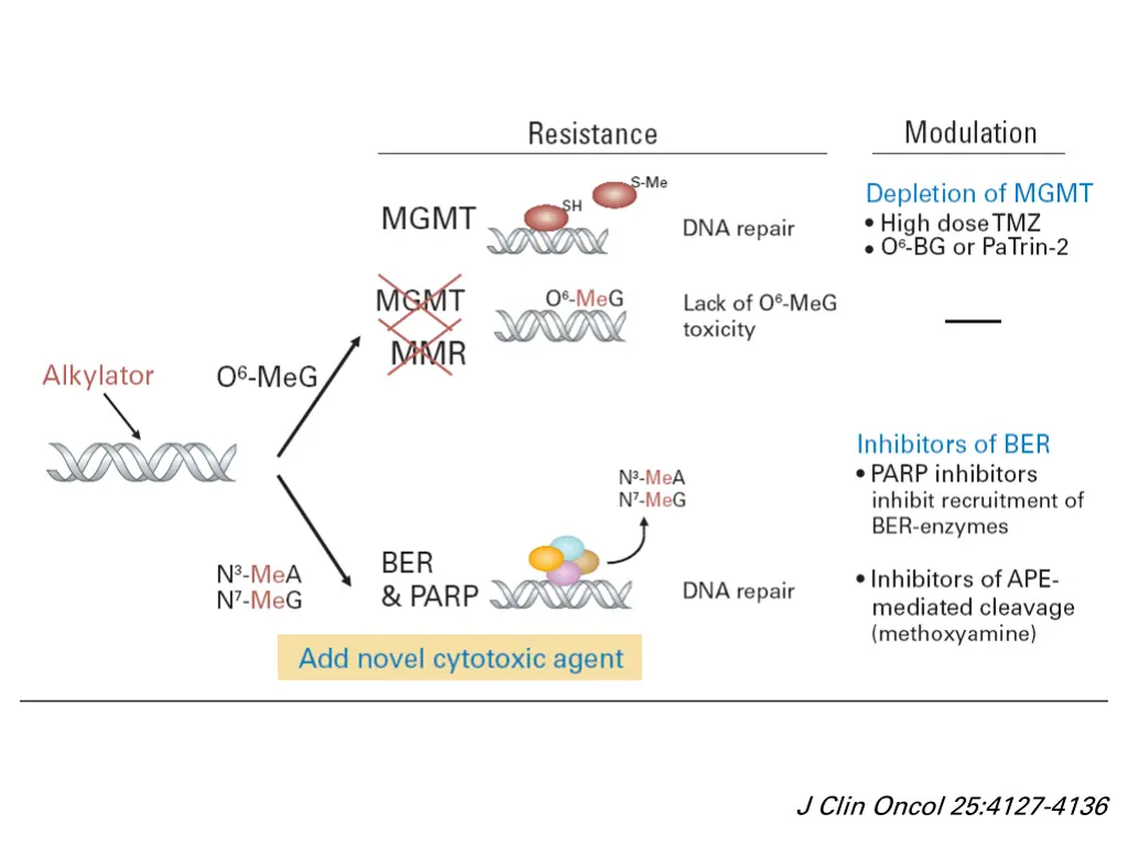 j clin oncol 25 4127 4136