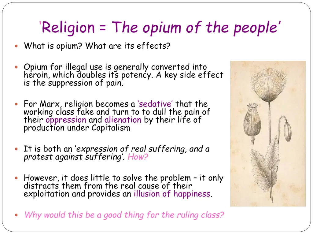 religion t he opium of the people what is opium