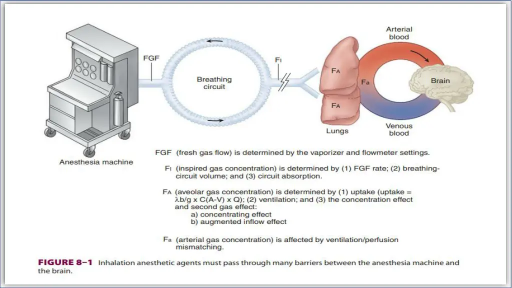 slide6