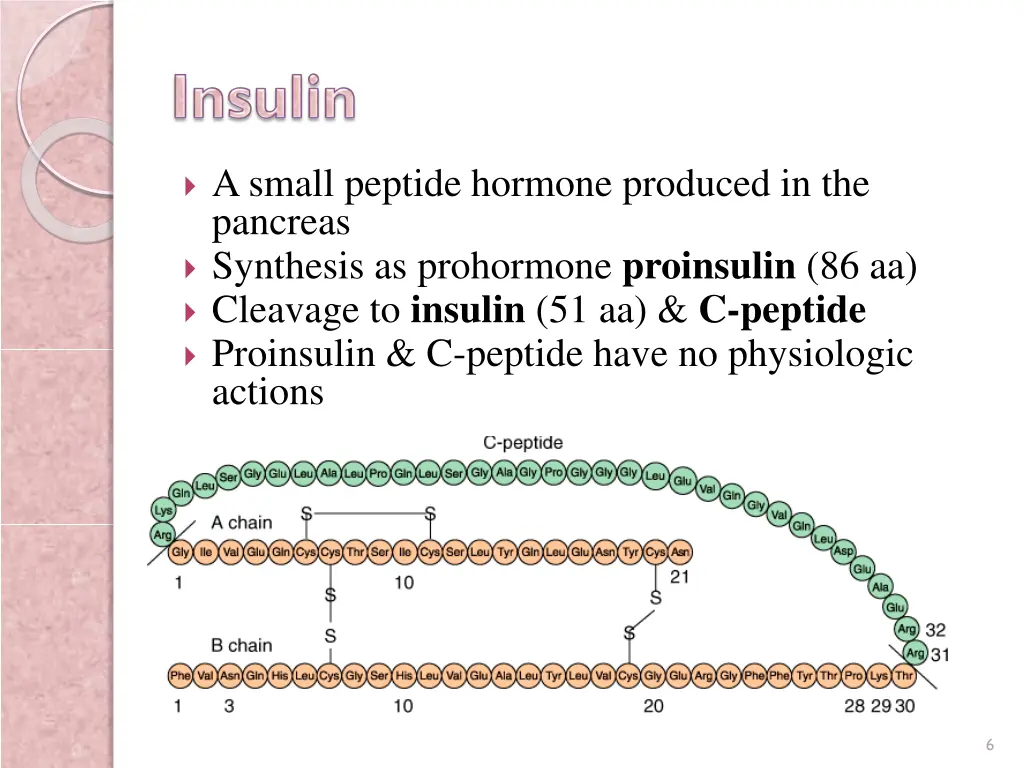 a small peptide hormone produced in the pancreas