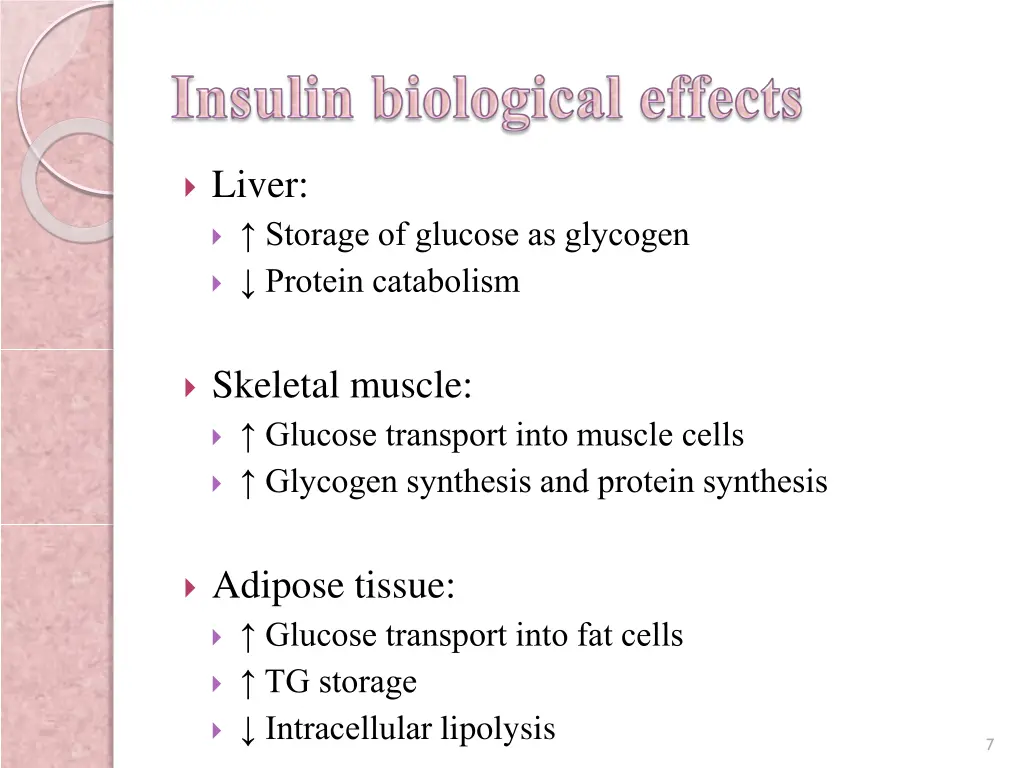 liver storage of glucose as glycogen protein