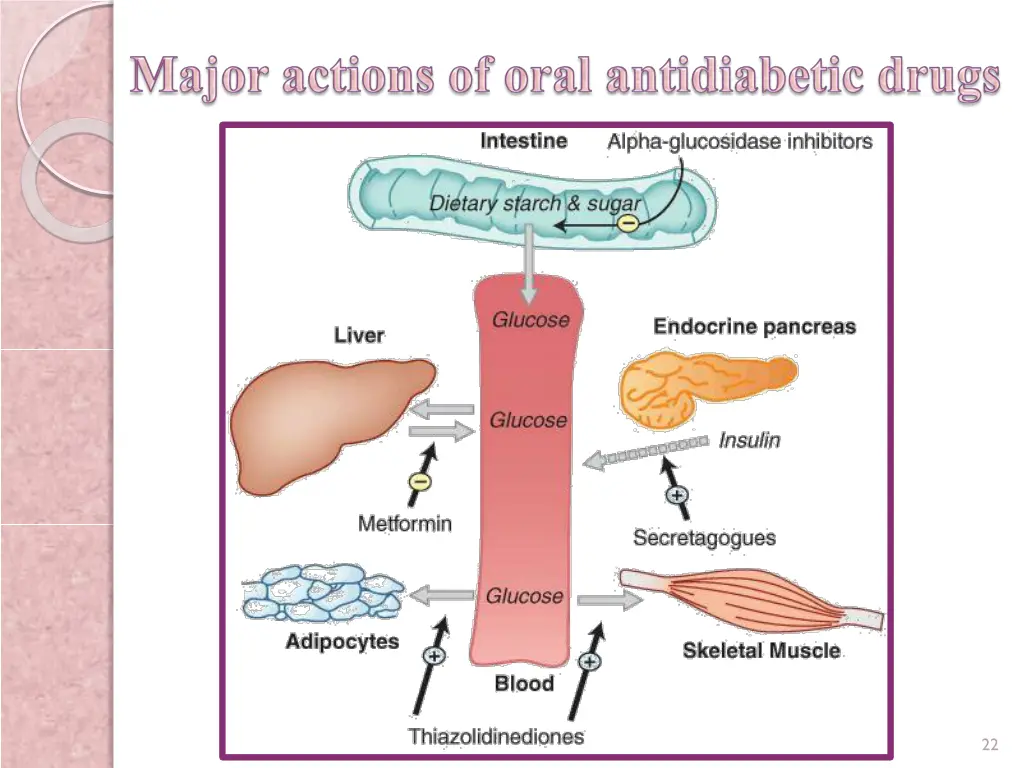 slide22