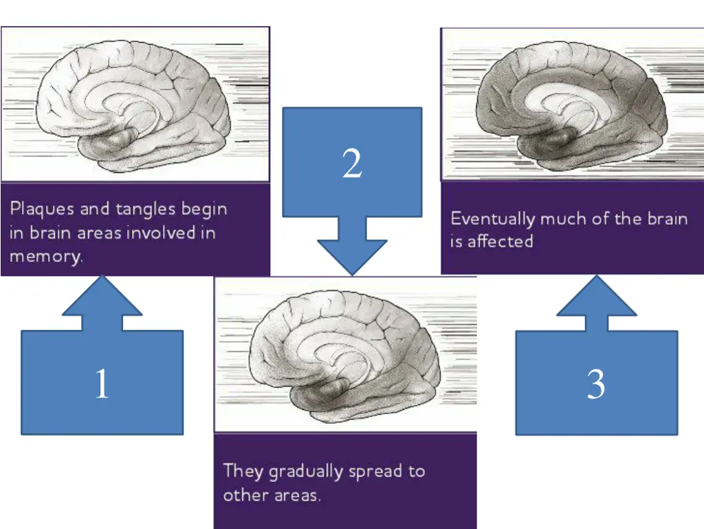 slide10