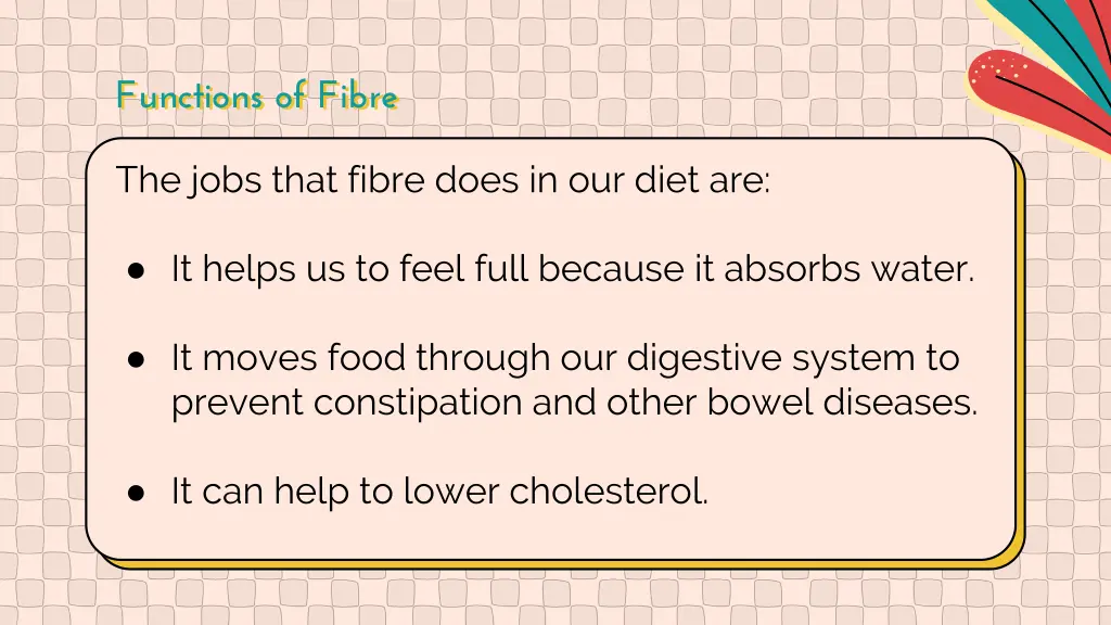 functions of fibre