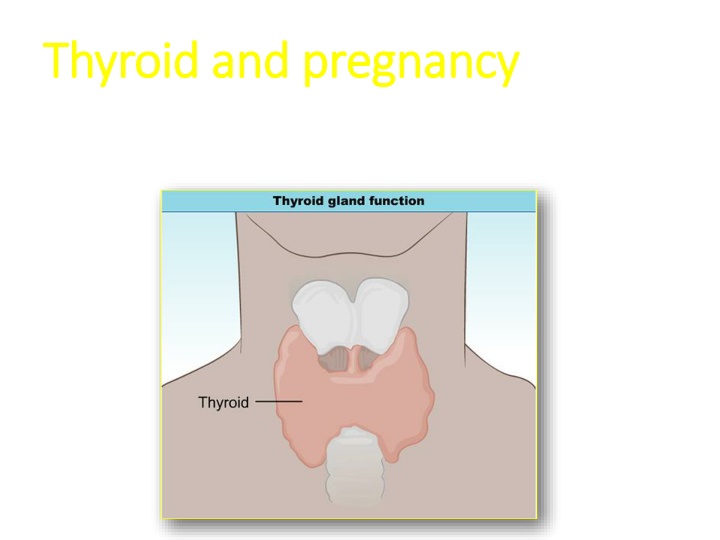 thyroid and pregnancy thyroid and pregnancy
