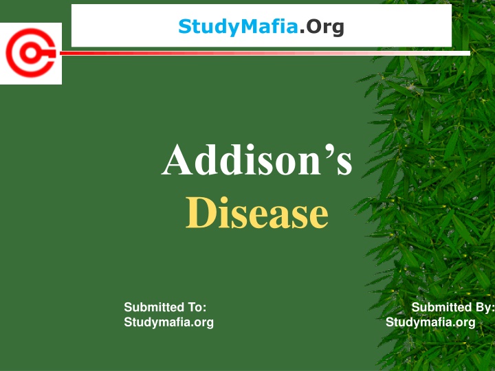 studymafia org