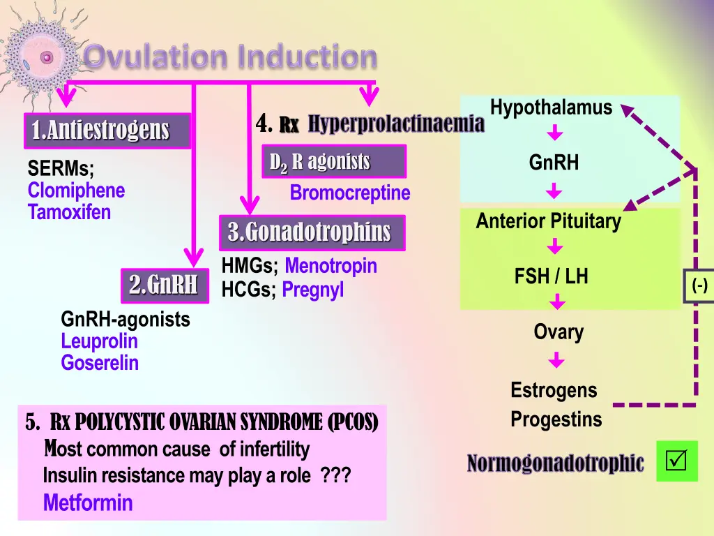 hypothalamus gnrh anterior pituitary