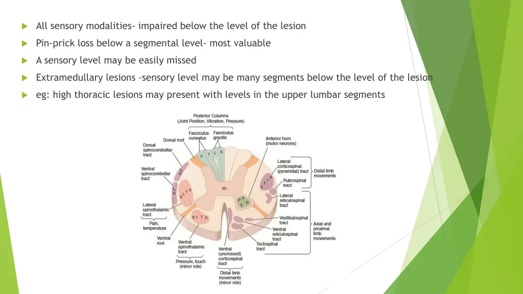 all sensory modalities impaired below the level