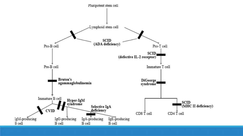 slide16