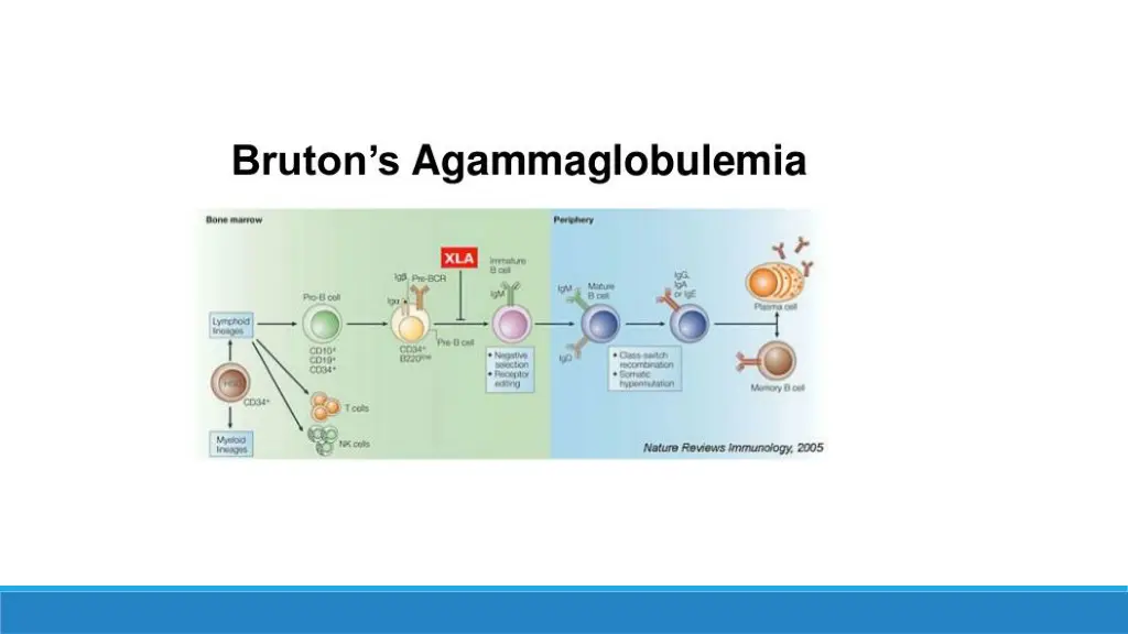 slide6