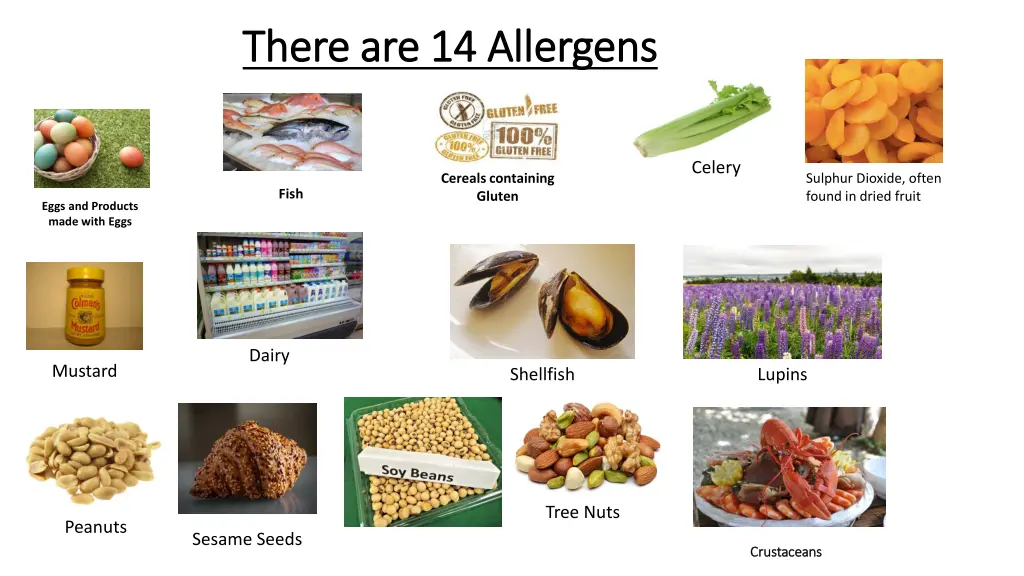 there are 14 allergens there are 14 allergens