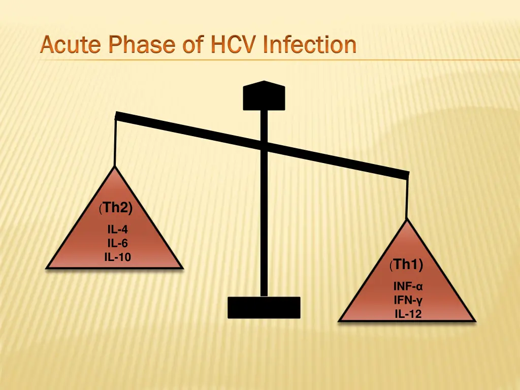 acute phase of hcv infection acute phase