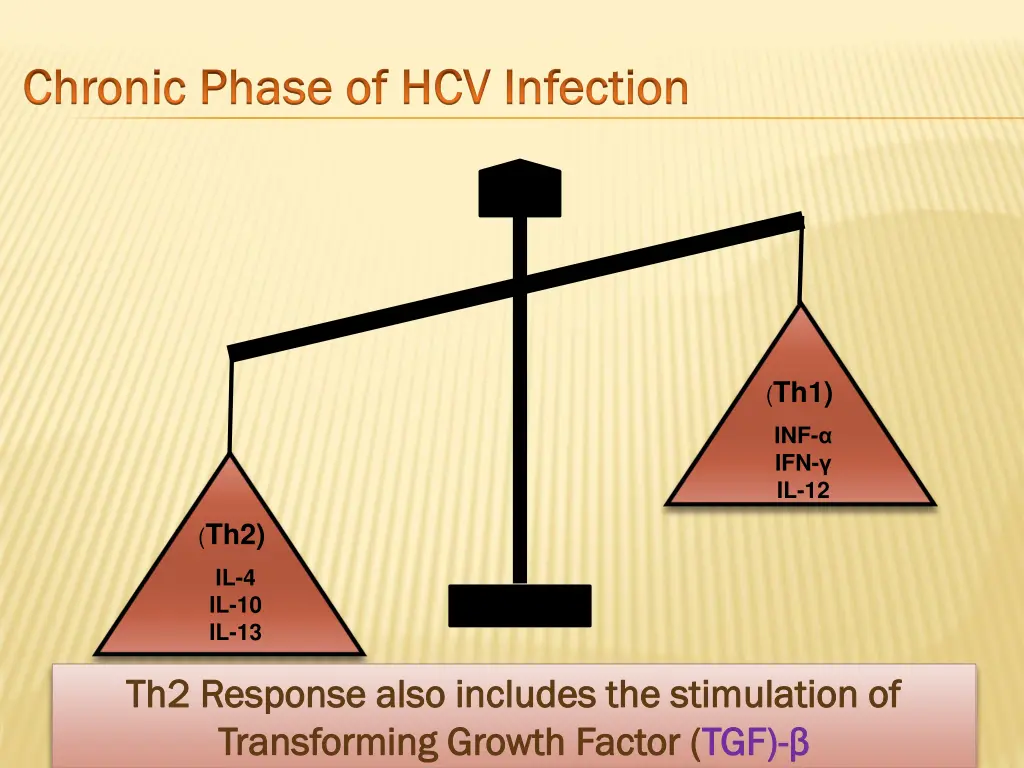 chronic phase of hcv infection chronic phase