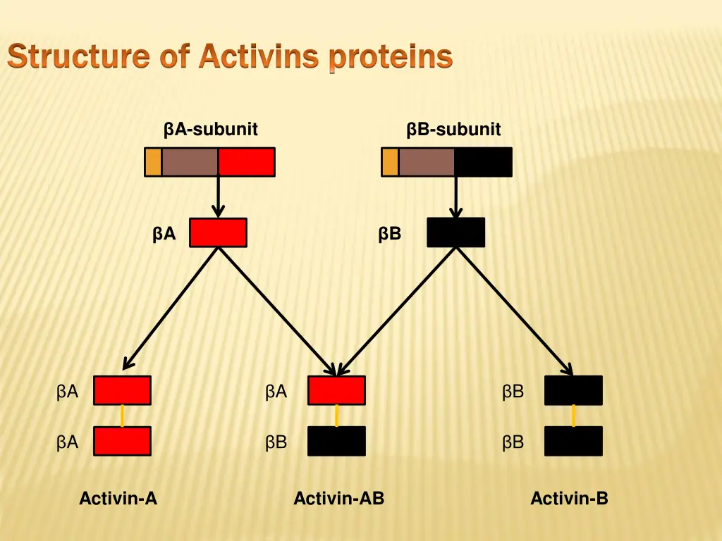 structure of activins proteins structure