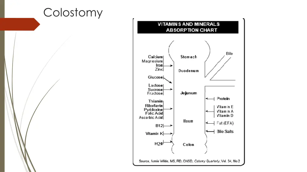 colostomy