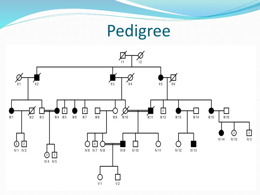 pedigree