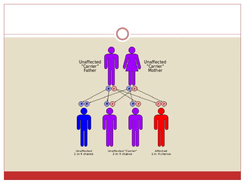 slide8