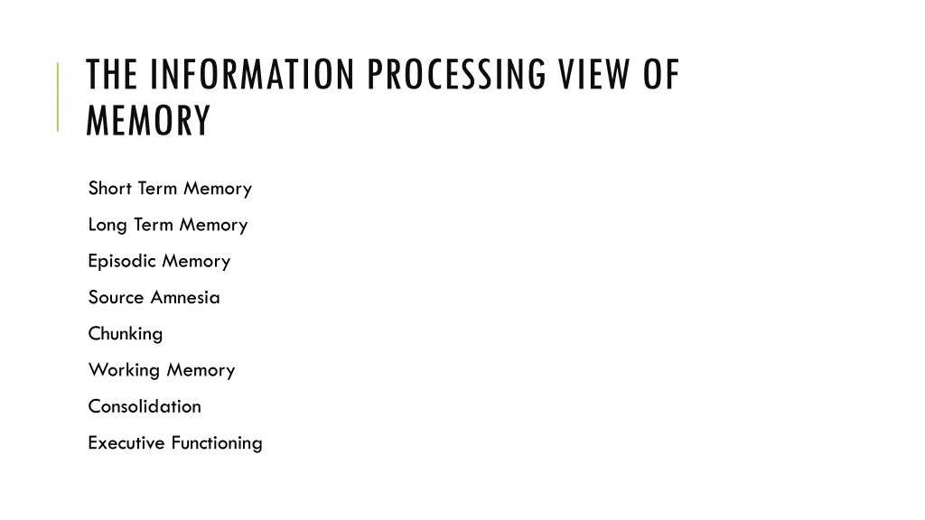 the information processing view of memory