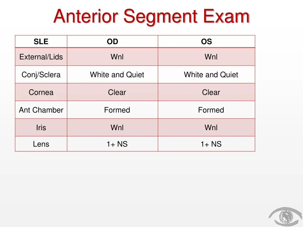 anterior segment exam
