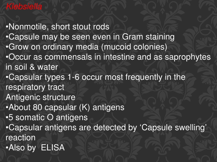 klebsiella