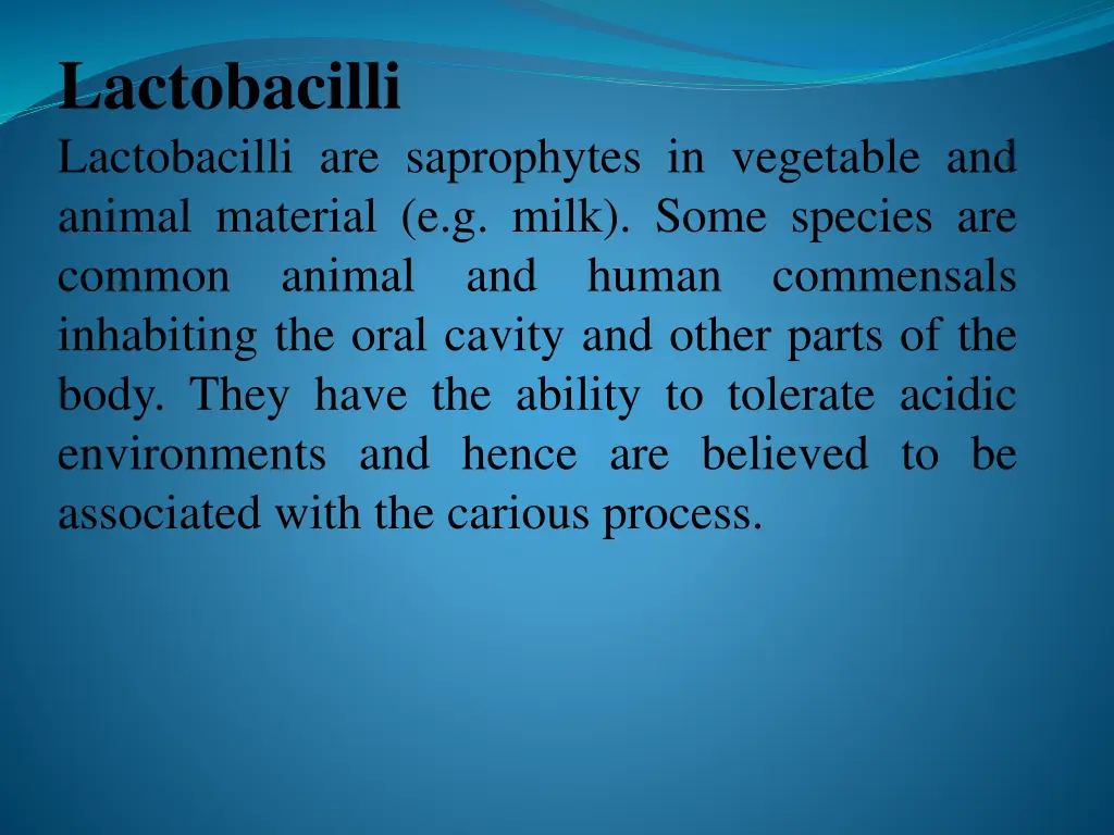 lactobacilli lactobacilli are saprophytes