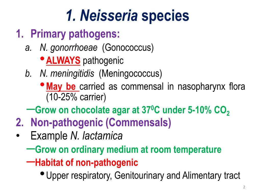 1 neisseria species 1 primary pathogens
