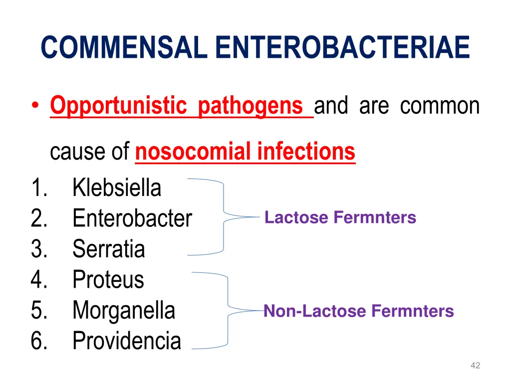 commensal enterobacteriae