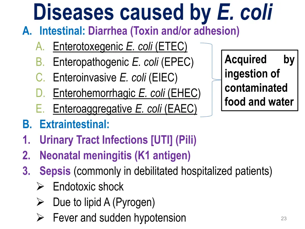 diseases caused by e coli a intestinal diarrhea